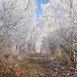 Am Herreder Wald דירה *