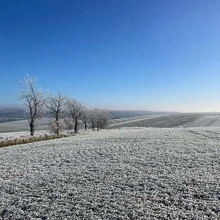 Am Herreder Wald Nordhausen