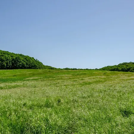 Am Herreder Wald