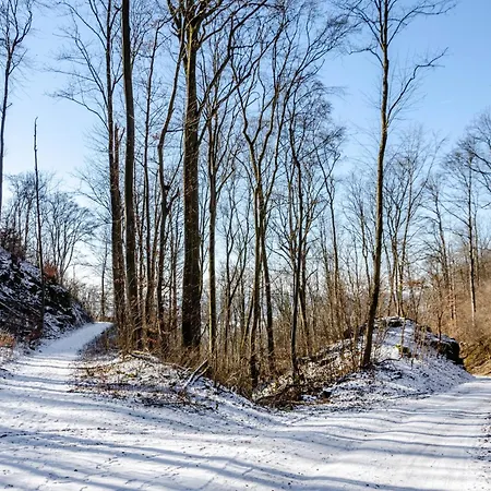 Apartment Am Herreder Wald *