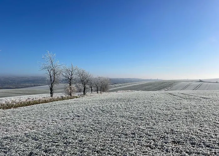 Am Herreder Wald * Nordhausen