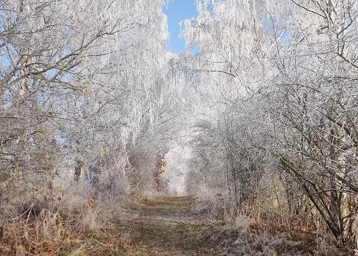 Am Herreder Wald Appartement *